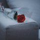 red rose flower on gray fabric sofa