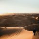 person walking on desert