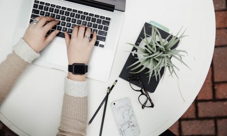 person using laptop computer beside aloe vera