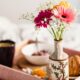 selective focus photography of pink petaled daisy flower in vase