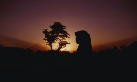 silhouette of woman and tree