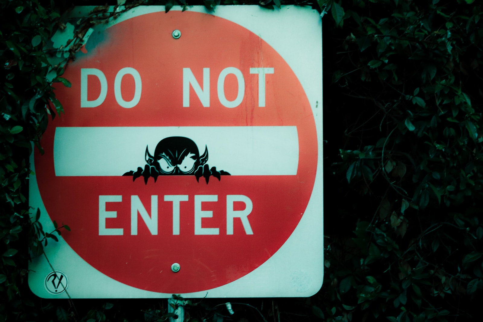 red and white Do Not Enter street sign