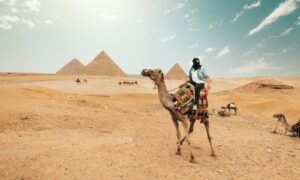 man riding camel