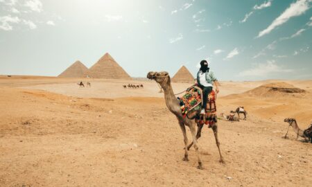 man riding camel