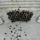 group of graduates throwing academic hats