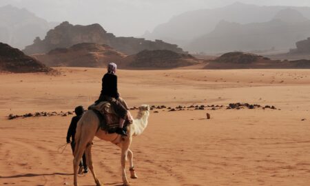 person riding on white camel near mountain