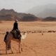 person riding on white camel near mountain