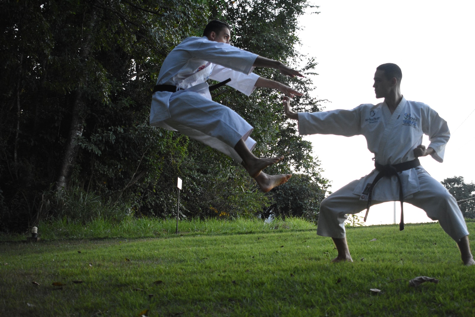 men doing karate