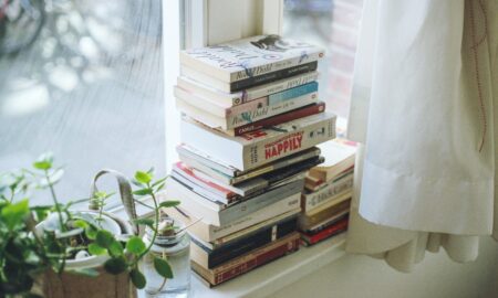 assorted-title book lot beside window