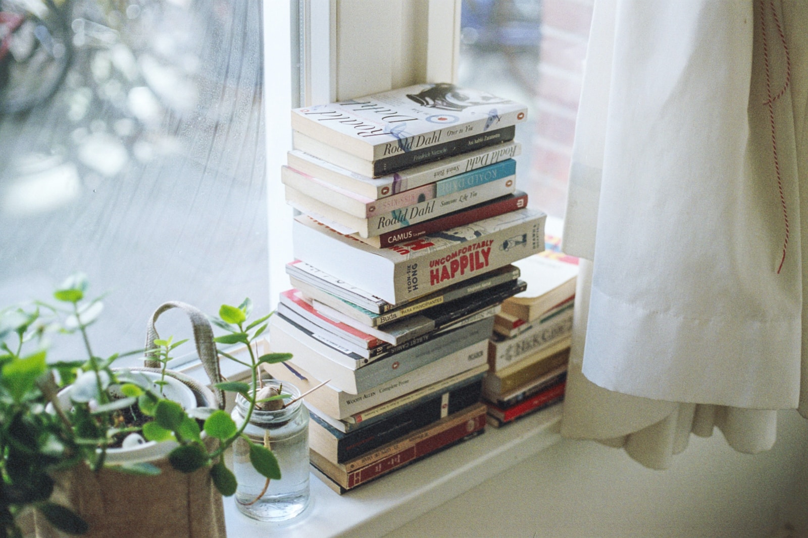 assorted-title book lot beside window