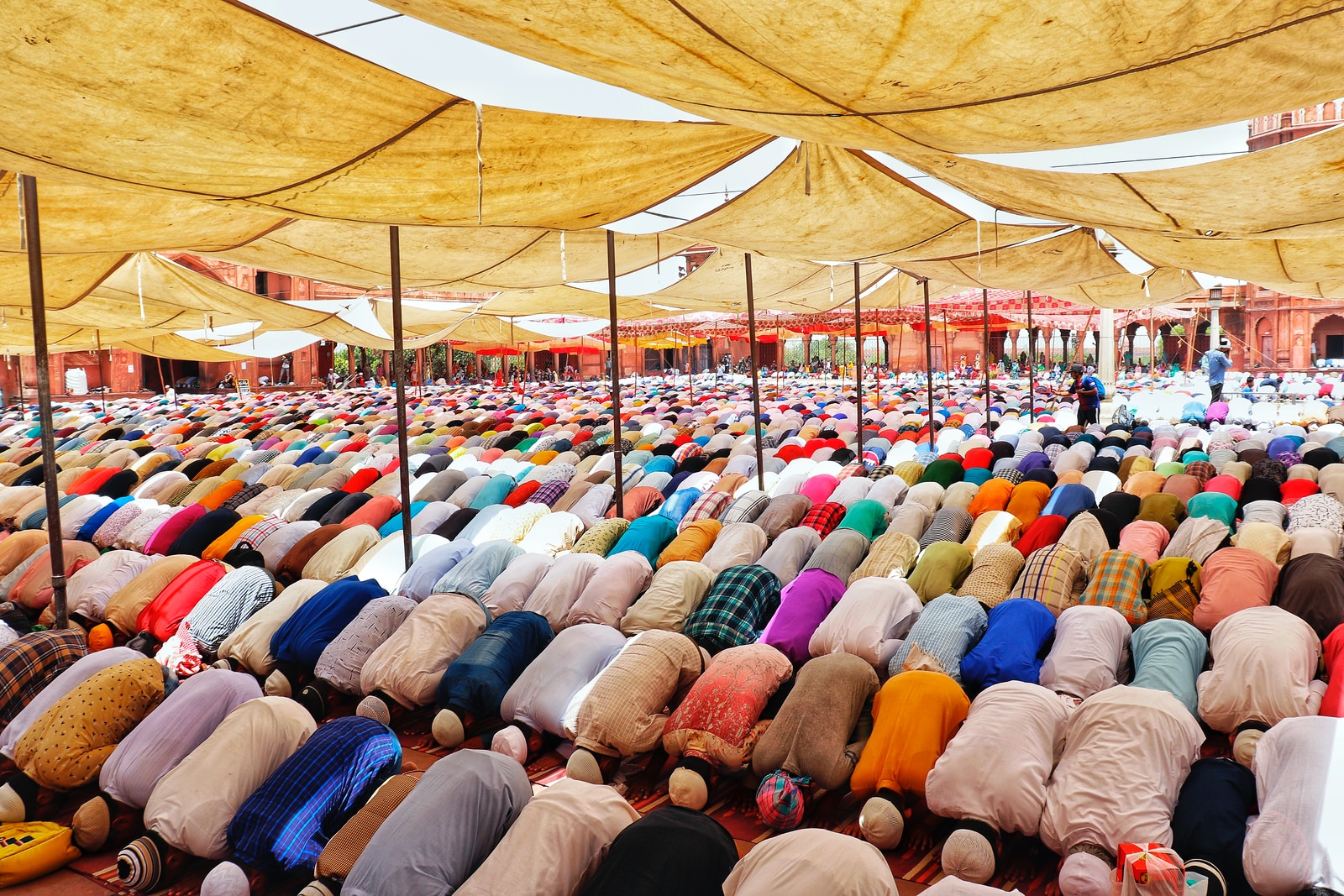 people bowing down inside canopy during day