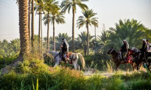 man riding horse on green grass field during daytime