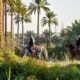 man riding horse on green grass field during daytime