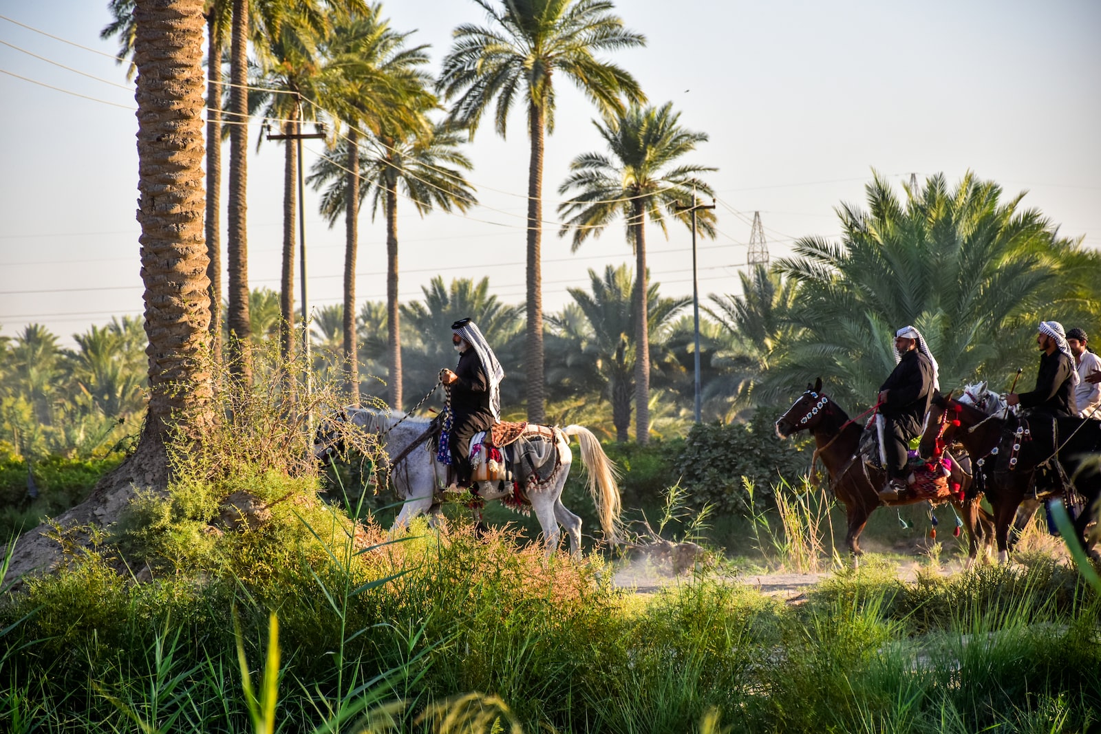 man riding horse on green grass field during daytime