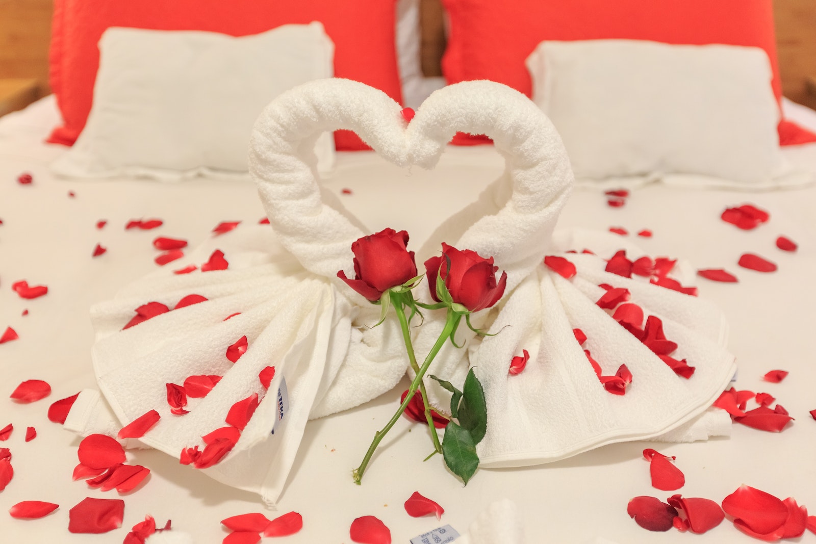 Red Roses and Bath Towels on a Bed