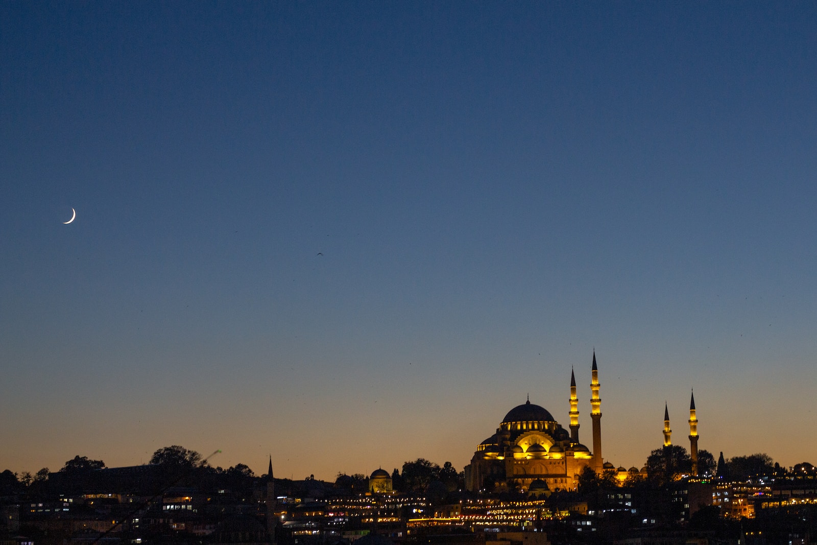 city skyline during night time