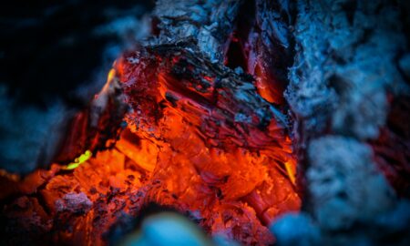 burned wood in macro photography